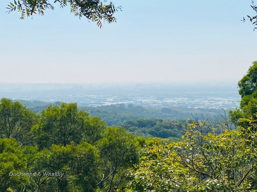 台中市大肚區【台中景點】大肚山萬里長城登山步道|林蔭舒適坡度好走|親子共遊友善步道推薦|