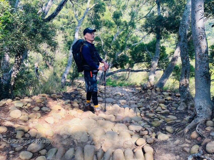 台中市大肚區【台中景點】大肚山萬里長城登山步道|林蔭舒適坡度好走|親子共遊友善步道推薦|