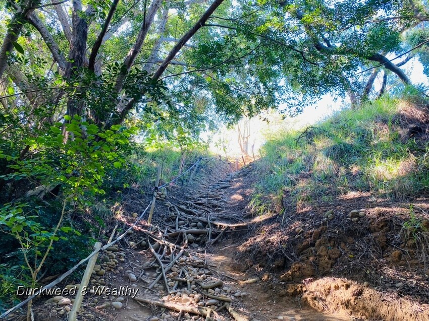 台中市大肚區【台中景點】大肚山萬里長城登山步道|林蔭舒適坡度好走|親子共遊友善步道推薦|