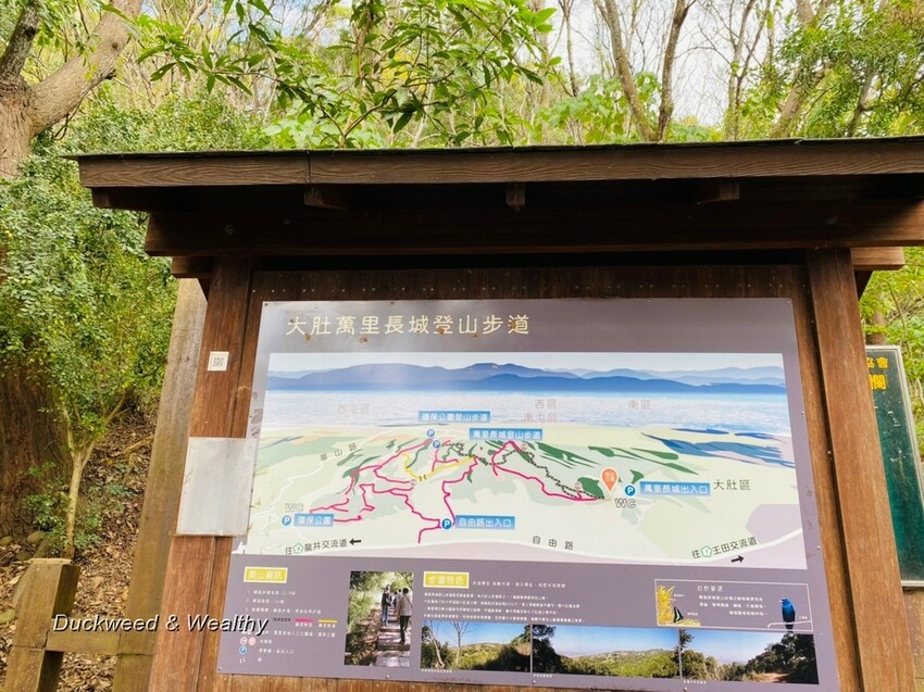台中市大肚區【台中景點】大肚山萬里長城登山步道|林蔭舒適坡度好走|親子共遊友善步道推薦|