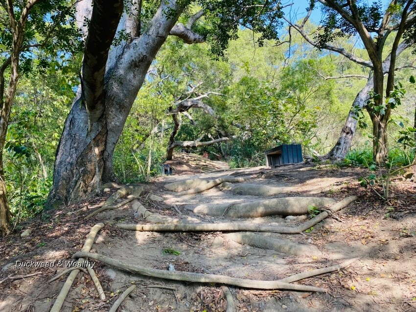 台中市大肚區【台中景點】大肚山萬里長城登山步道|林蔭舒適坡度好走|親子共遊友善步道推薦|
