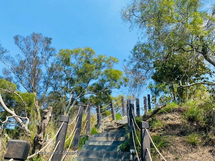 台中市大肚區【台中景點】大肚山萬里長城登山步道|林蔭舒適坡度好走|親子共遊友善步道推薦|