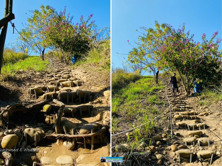 台中市大肚區【台中景點】大肚山萬里長城登山步道|林蔭舒適坡度好走|親子共遊友善步道推薦|