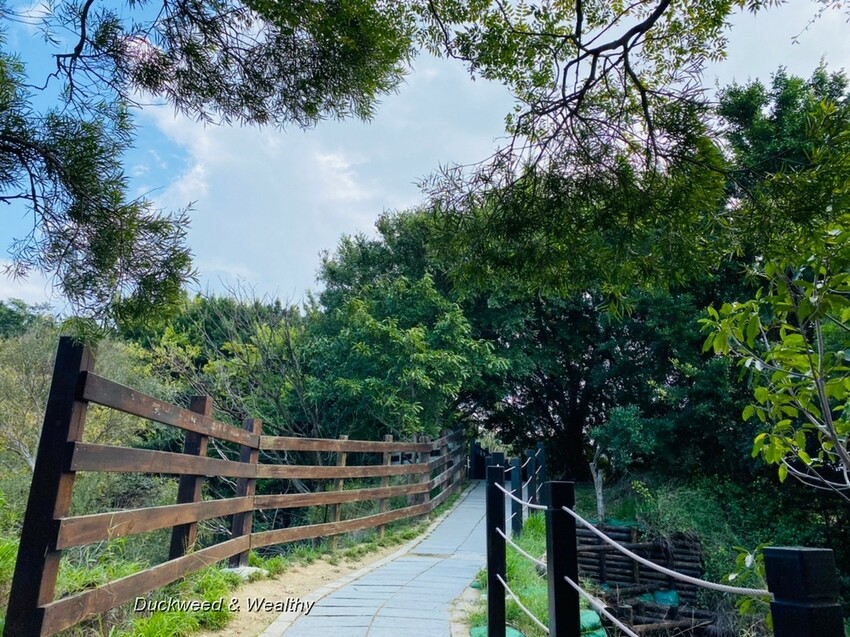 台中市大肚區【台中景點】大肚山萬里長城登山步道|林蔭舒適坡度好走|親子共遊友善步道推薦|