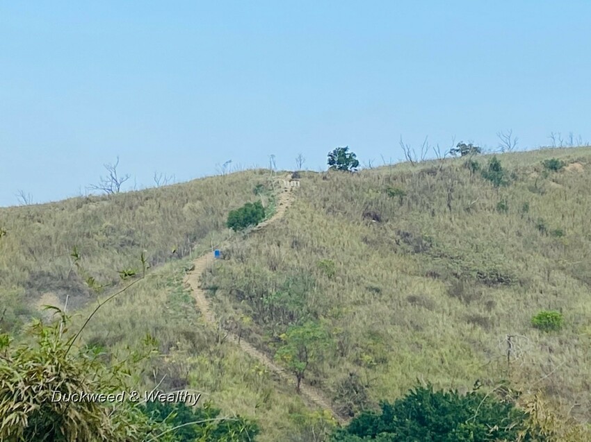 台中市大肚區【台中景點】大肚山萬里長城登山步道|林蔭舒適坡度好走|親子共遊友善步道推薦|
