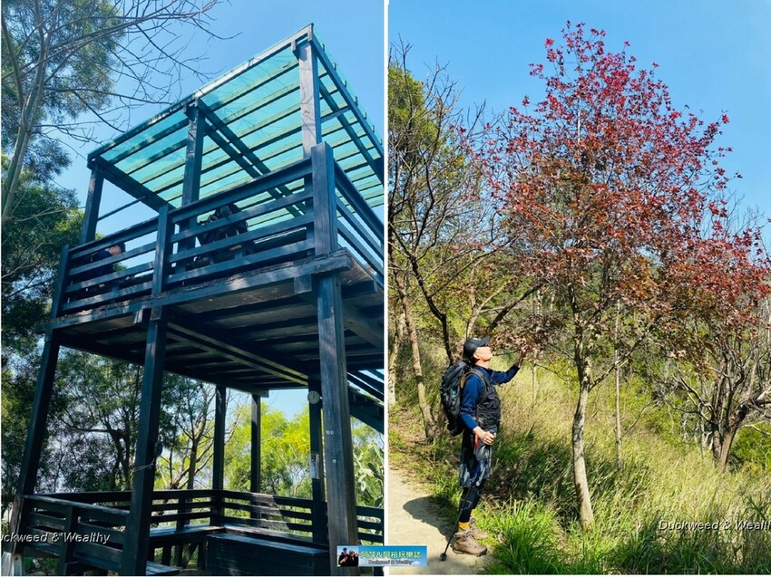 台中市大肚區【台中景點】大肚山萬里長城登山步道|林蔭舒適坡度好走|親子共遊友善步道推薦|