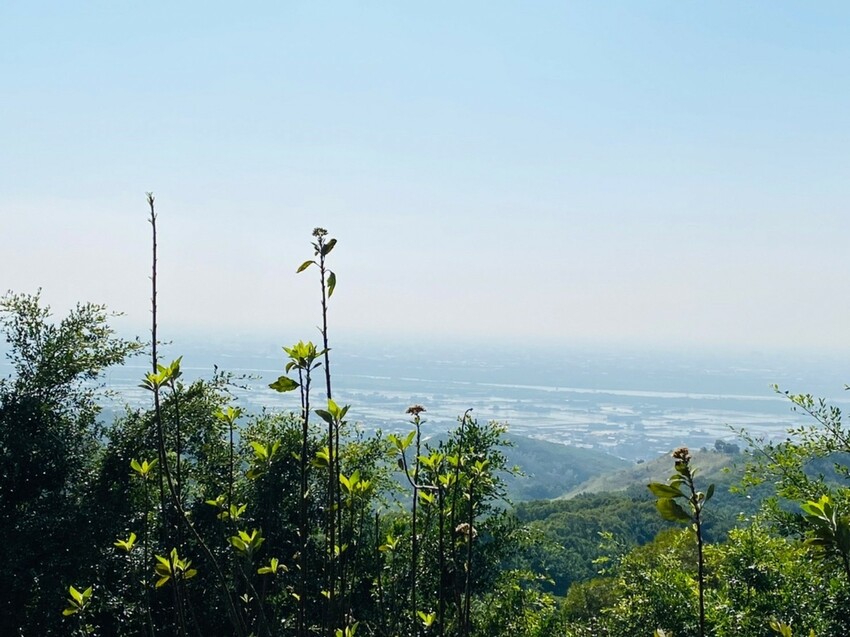 台中市大肚區【台中景點】大肚山萬里長城登山步道|林蔭舒適坡度好走|親子共遊友善步道推薦|