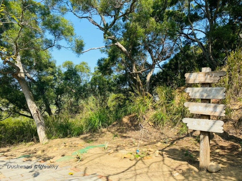 台中市大肚區【台中景點】大肚山萬里長城登山步道|林蔭舒適坡度好走|親子共遊友善步道推薦|