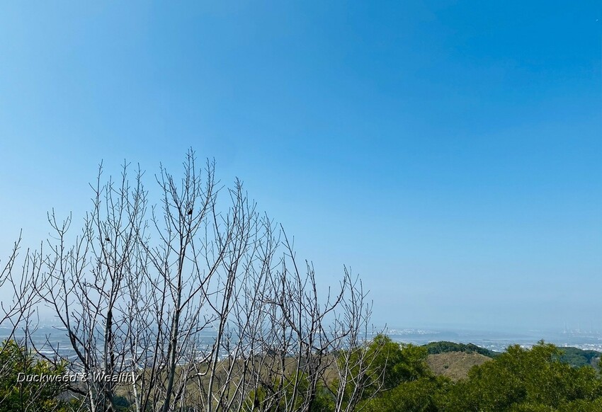 台中市大肚區【台中景點】大肚山萬里長城登山步道|林蔭舒適坡度好走|親子共遊友善步道推薦|