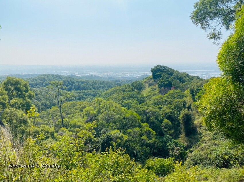 台中市大肚區【台中景點】大肚山萬里長城登山步道|林蔭舒適坡度好走|親子共遊友善步道推薦|