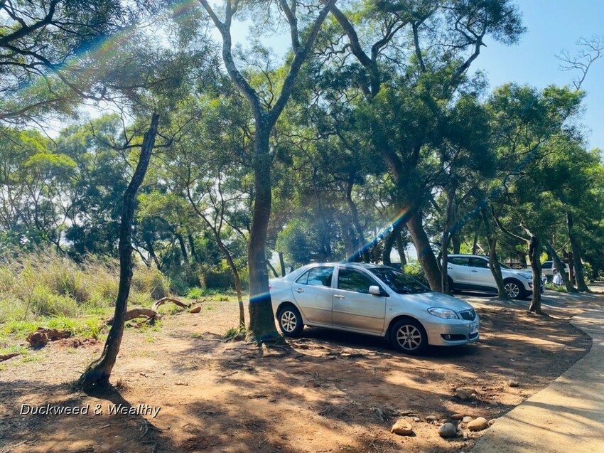 台中市大肚區【台中景點】大肚山萬里長城登山步道|林蔭舒適坡度好走|親子共遊友善步道推薦|