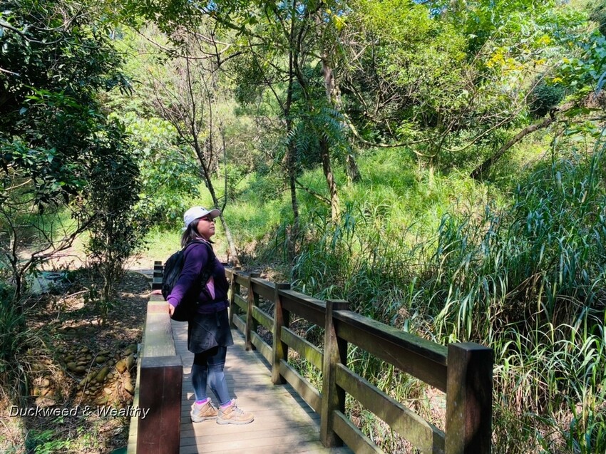 台中市大肚區【台中景點】大肚山萬里長城登山步道|林蔭舒適坡度好走|親子共遊友善步道推薦|