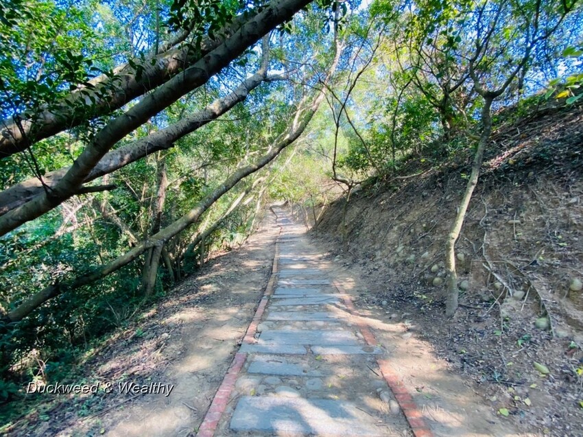 台中市大肚區【台中景點】大肚山萬里長城登山步道|林蔭舒適坡度好走|親子共遊友善步道推薦|