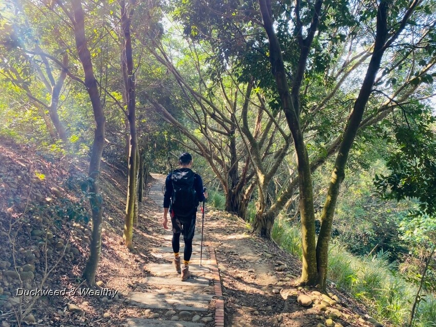 台中市大肚區【台中景點】大肚山萬里長城登山步道|林蔭舒適坡度好走|親子共遊友善步道推薦|