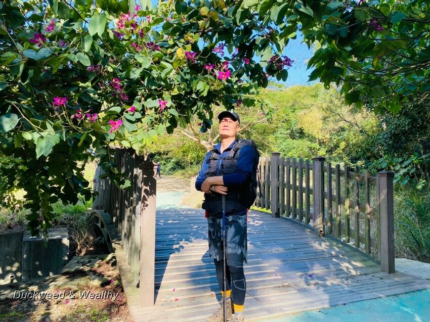 台中市大肚區【台中景點】大肚山萬里長城登山步道|林蔭舒適坡度好走|親子共遊友善步道推薦|