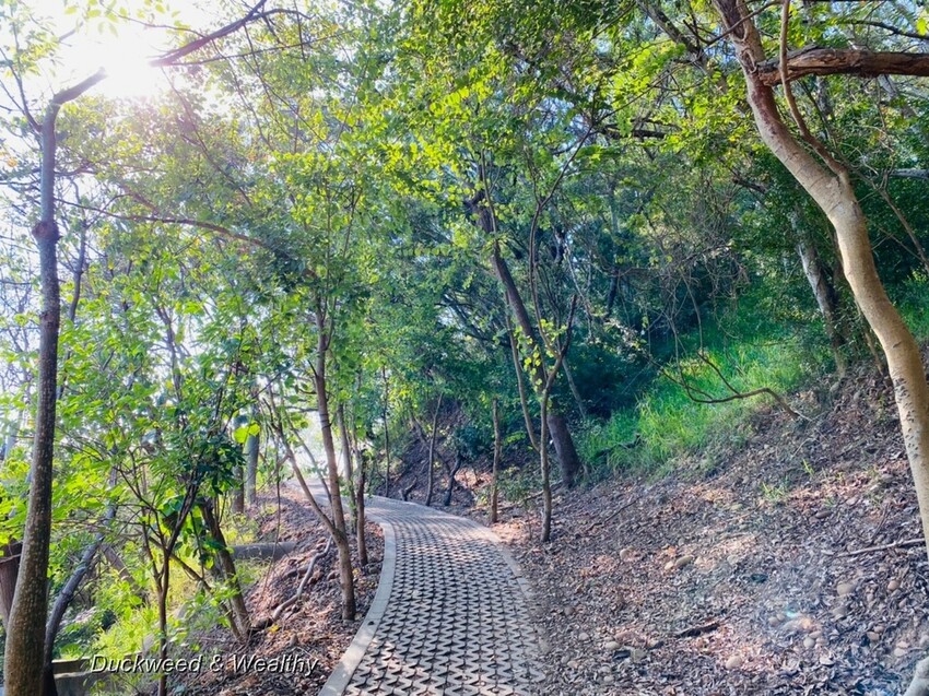 台中市大肚區【台中景點】大肚山萬里長城登山步道|林蔭舒適坡度好走|親子共遊友善步道推薦|
