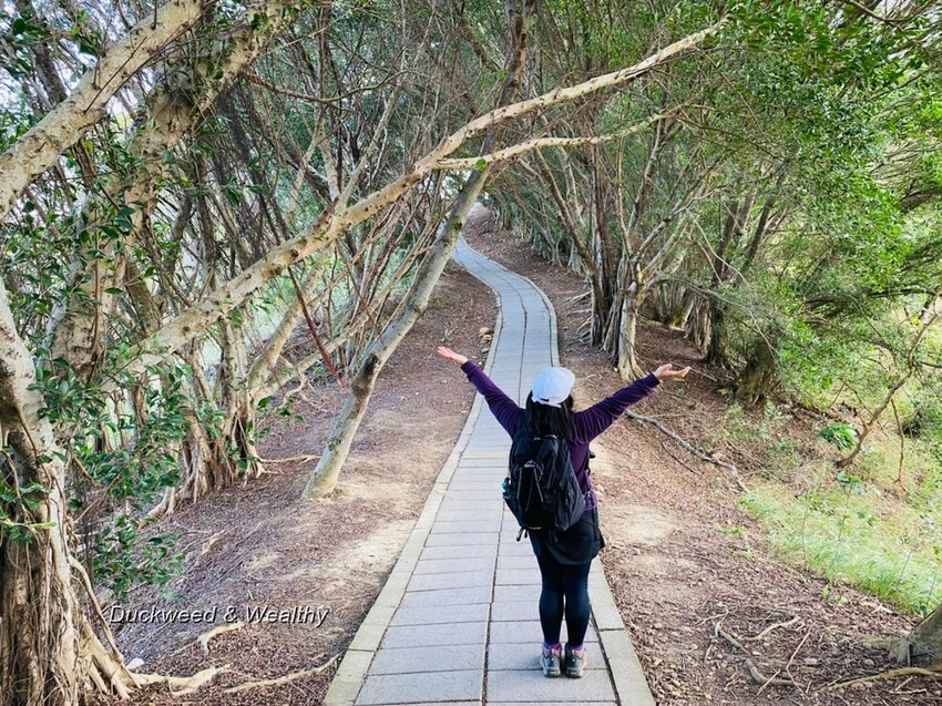 台中市大肚區【台中景點】大肚山萬里長城登山步道|林蔭舒適坡度好走|親子共遊友善步道推薦|