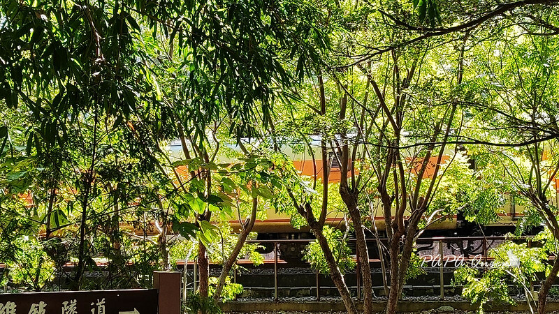 苗栗縣苗栗市苗栗景點|貓狸山 功維敘隧道 -百年歷史在地人私房景點