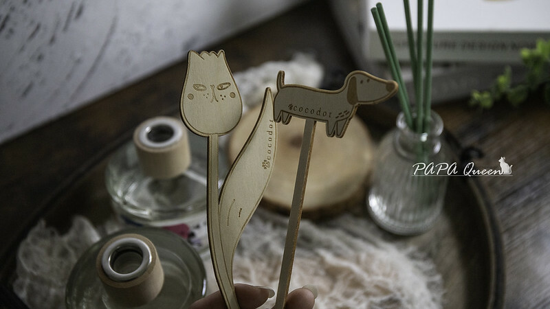 cocodor 擴香瓶開箱推薦｜PET ME萌Q表情可愛，秋冬款新品也太美拉德了!