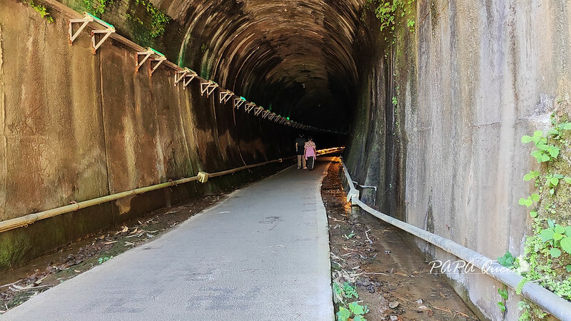 苗栗縣苗栗市苗栗景點|貓狸山 功維敘隧道 -百年歷史在地人私房景點