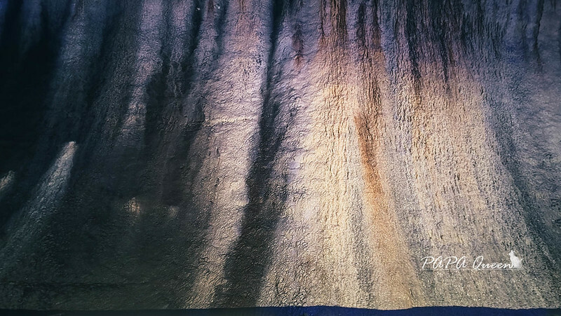 苗栗縣苗栗市苗栗景點|貓狸山 功維敘隧道 -百年歷史在地人私房景點