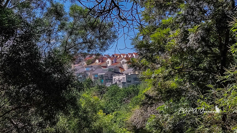 苗栗縣苗栗市苗栗景點|貓狸山 功維敘隧道 -百年歷史在地人私房景點