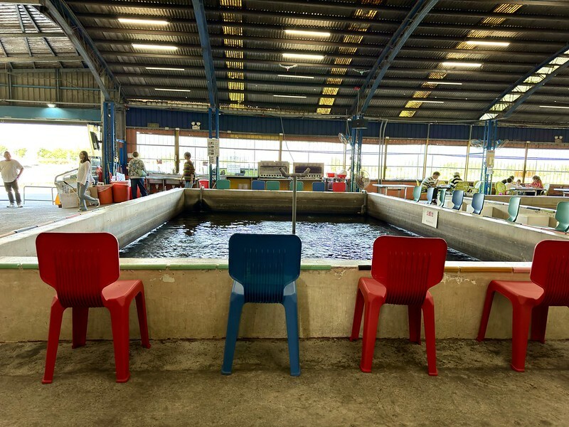 宜蘭縣礁溪鄉宜蘭礁溪  |  六隻蝦釣蝦場，超有成就感的釣蝦場；隨便都能釣雙蝦。（礁溪旅行）