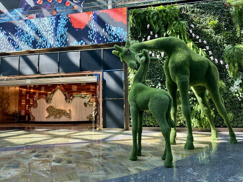 澳門澳門自助懶人包|澳門自由行三天兩夜澳門住宿/景點/美食/交通。(摘星美食文化遊澳門/澳門星星小旅行)