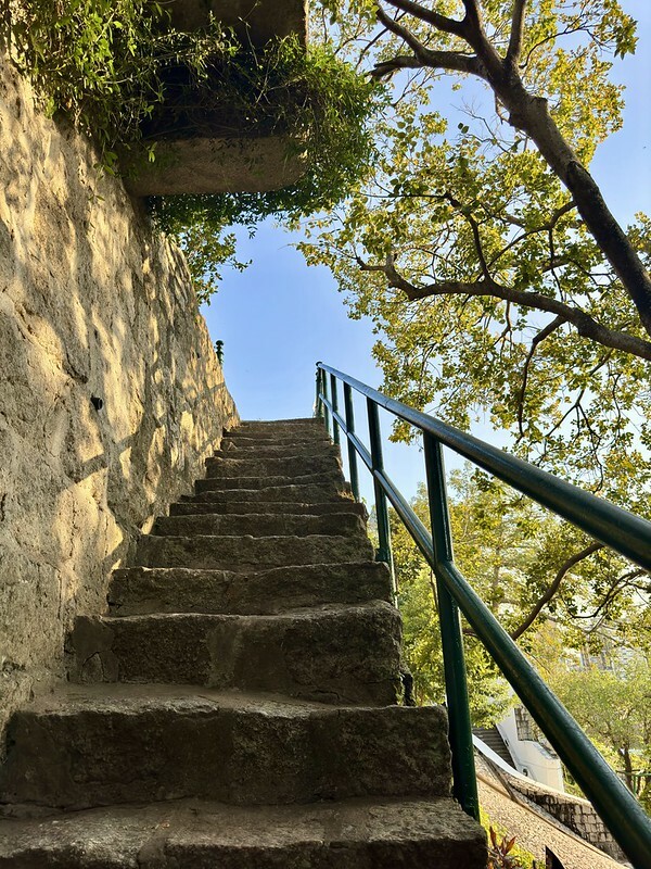 澳門澳門旅遊｜散步看景，享受澳門的異國風情；大砲台、大砲台迴廊、澳門博物館、瘋堂斜巷、望德聖母堂、聖味基