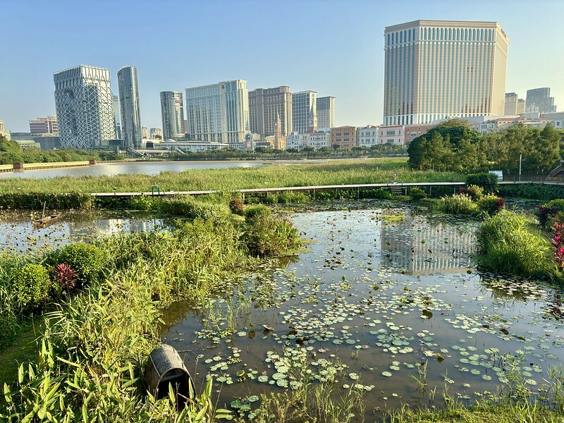 澳門澳門旅遊｜氹仔散策，龍環葡韻（氹仔住宅博物館）、澳門美麗濕地、嘉模聖母堂、嘉模會堂、官也街（蛋塔、燉