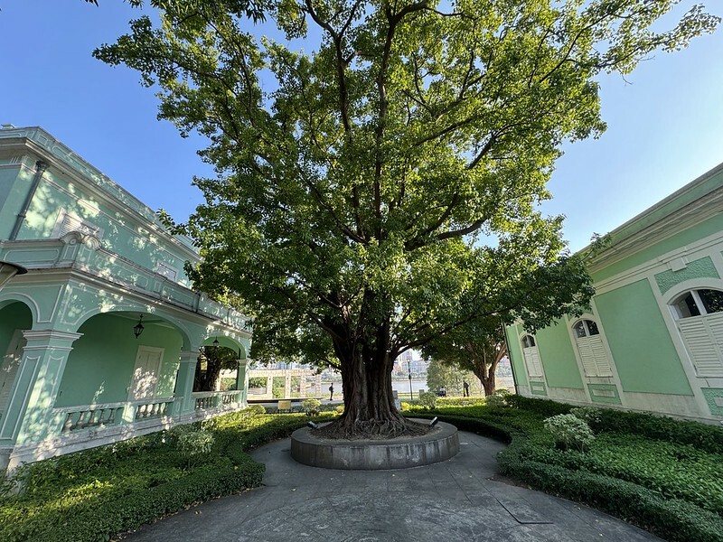 澳門澳門旅遊｜氹仔散策，龍環葡韻（氹仔住宅博物館）、澳門美麗濕地、嘉模聖母堂、嘉模會堂、官也街（蛋塔、燉