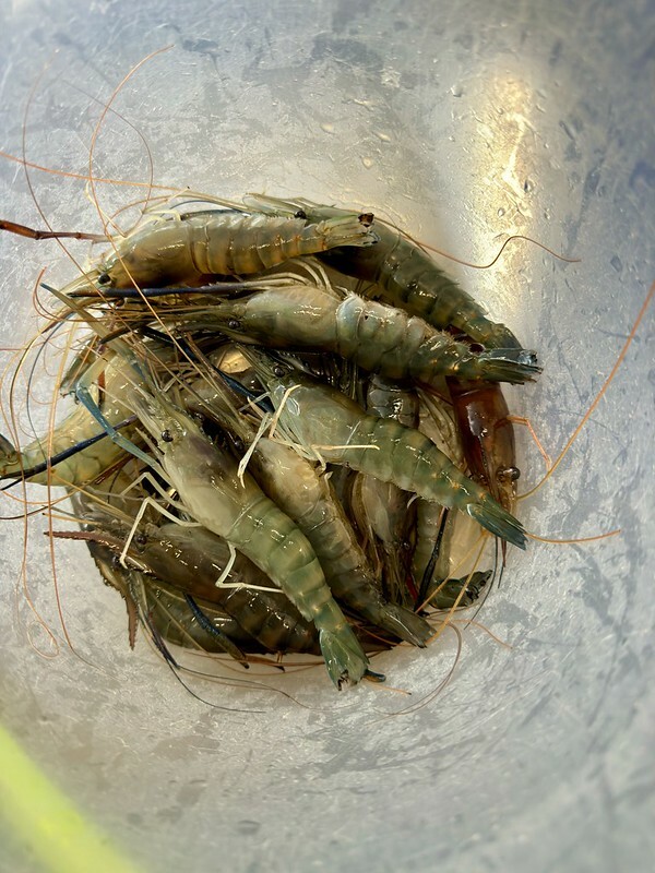 宜蘭縣礁溪鄉宜蘭礁溪  |  六隻蝦釣蝦場，超有成就感的釣蝦場；隨便都能釣雙蝦。（礁溪旅行）