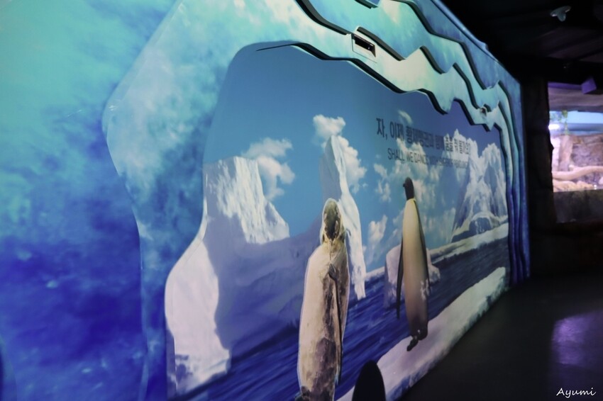 [2024年釜山行]SEA LIFE부산아쿠아리움/精彩的美