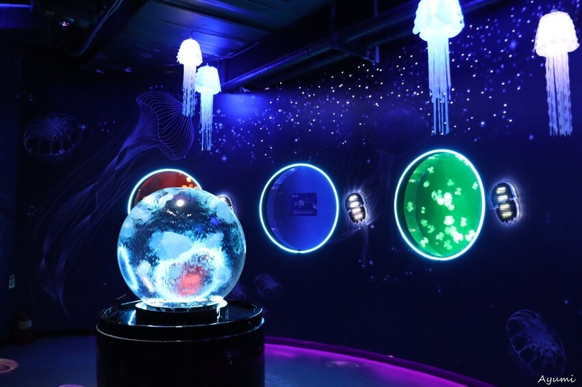 [2024年釜山行]SEA LIFE부산아쿠아리움/精彩的美