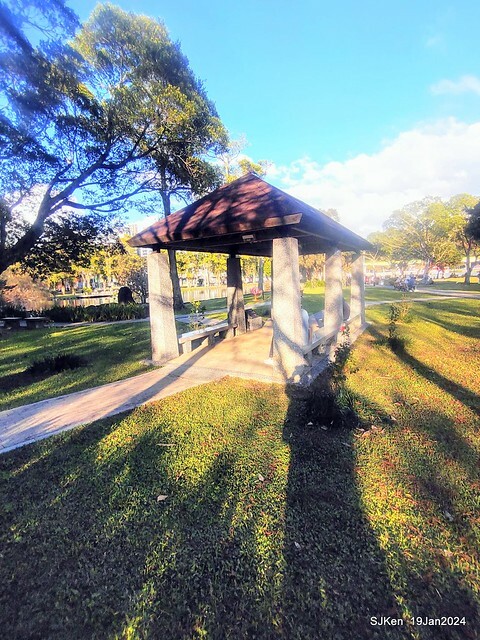 2024.01.19 台北大湖公園落羽松美景2-2 (Bald Cypress at Taipei on Jan 19,2024，by SJKen.