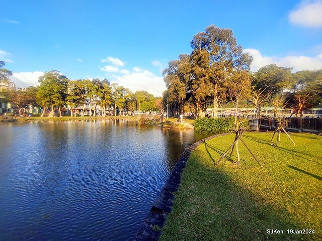 2024.01.19 台北大湖公園落羽松美景2-2 (Bald Cypress at Taipei on Jan 19,2024，by SJKen.