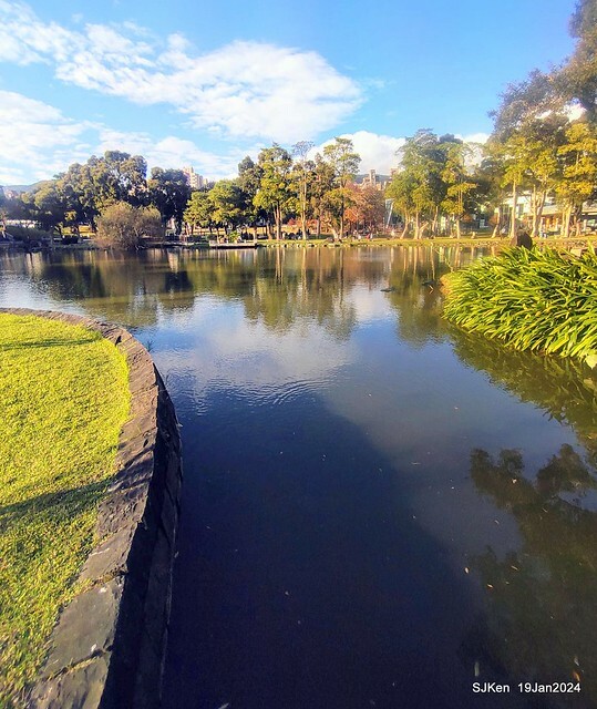 2024.01.19 台北大湖公園落羽松美景2-2 (Bald Cypress at Taipei on Jan 19,2024，by SJKen.