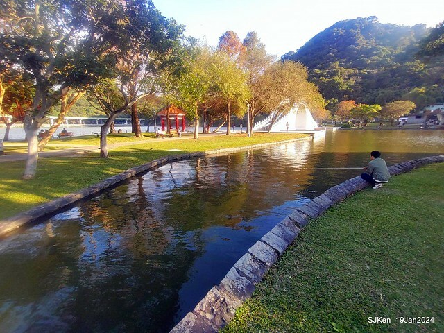 2024.01.19 台北大湖公園落羽松美景2-2 (Bald Cypress at Taipei on Jan 19,2024，by SJKen.