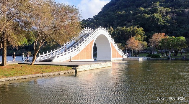 2024.01.19 台北大湖公園落羽松美景2-2 (Bald Cypress at Taipei on Jan 19,2024，by SJKen.