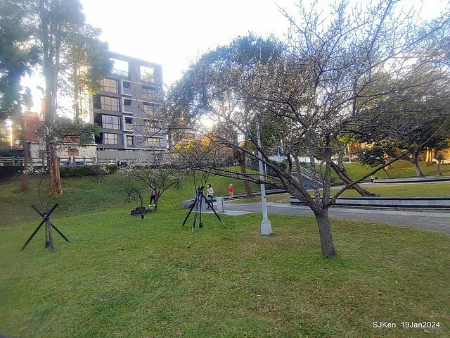 2024.01.19 台北大湖公園落羽松美景2-2 (Bald Cypress at Taipei on Jan 19,2024，by SJKen.