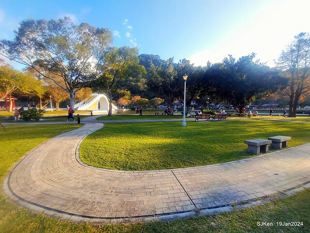 2024.01.19 台北大湖公園落羽松美景2-2 (Bald Cypress at Taipei on Jan 19,2024，by SJKen.