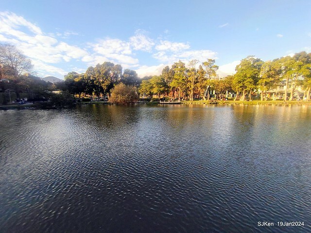 2024.01.19 台北大湖公園落羽松美景2-2 (Bald Cypress at Taipei on Jan 19,2024，by SJKen.
