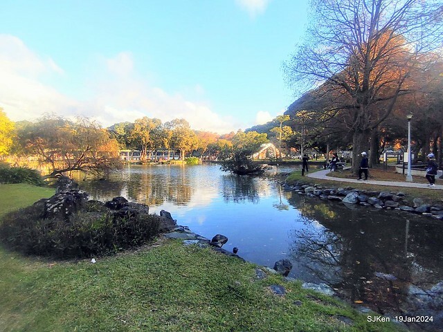 2024.01.19 台北大湖公園落羽松美景2-2 (Bald Cypress at Taipei on Jan 19,2024，by SJKen.