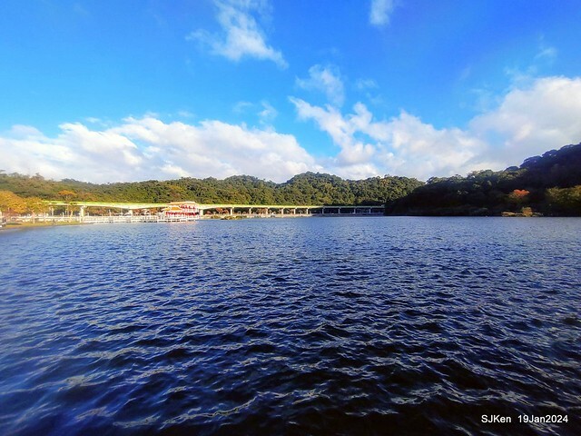 2024.01.19 台北大湖公園落羽松美景2-2 (Bald Cypress at Taipei on Jan 19,2024，by SJKen.