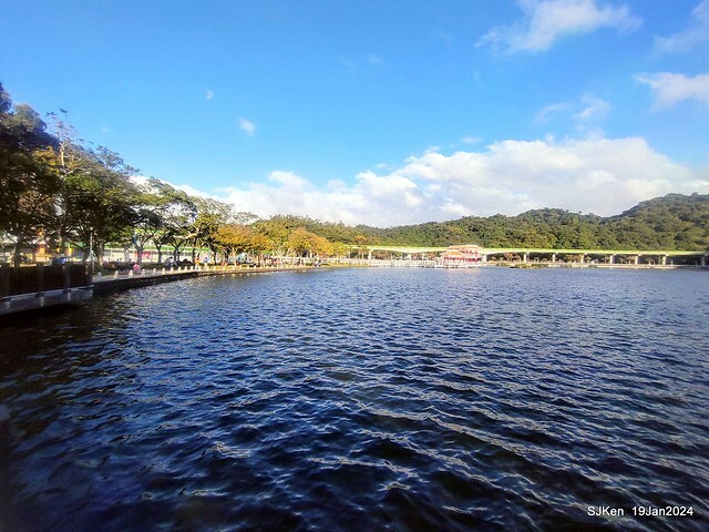 2024.01.19 台北大湖公園落羽松美景2-2 (Bald Cypress at Taipei on Jan 19,2024，by SJKen.