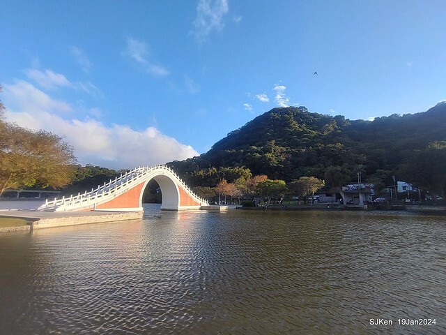 2024.01.19 台北大湖公園落羽松美景2-2 (Bald Cypress at Taipei on Jan 19,2024，by SJKen.