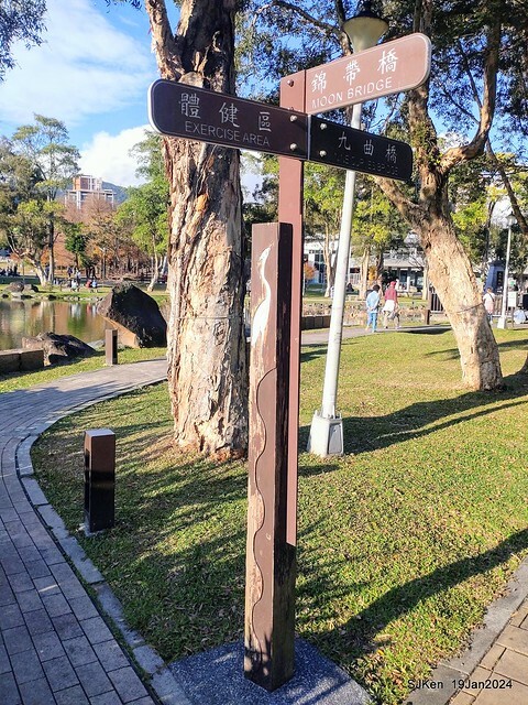 2024.01.19 台北大湖公園落羽松美景2-2 (Bald Cypress at Taipei on Jan 19,2024，by SJKen.