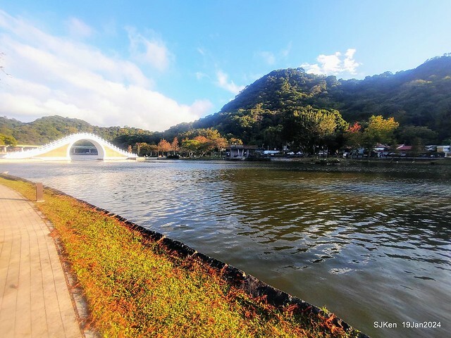 2024.01.19 台北大湖公園落羽松美景2-2 (Bald Cypress at Taipei on Jan 19,2024，by SJKen.