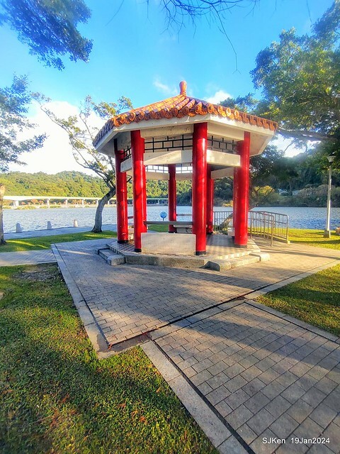 2024.01.19 台北大湖公園落羽松美景2-2 (Bald Cypress at Taipei on Jan 19,2024，by SJKen.