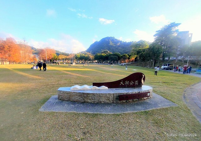 2024.01.19 台北大湖公園落羽松美景2-1(Bald Cypress at Taipei on Jan 19,2024,by SJKen.